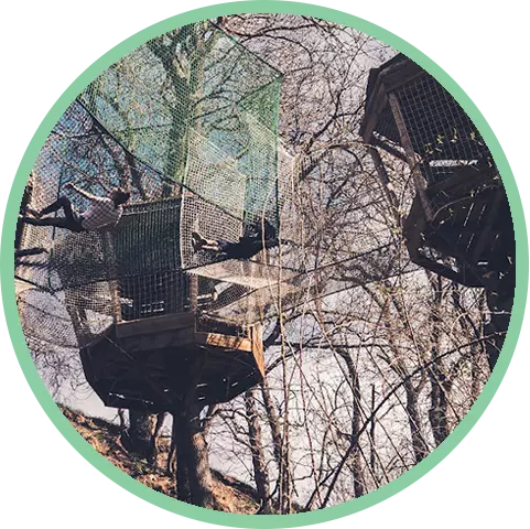 Badge du BOIS DES GAULOIS