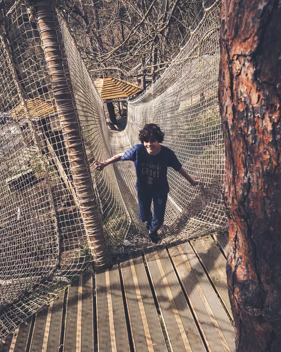 Image de la galerie du parc Canopy en forêt