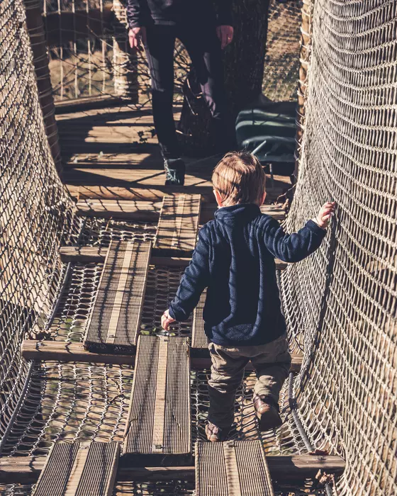 Image de la galerie du parc Canopy en forêt