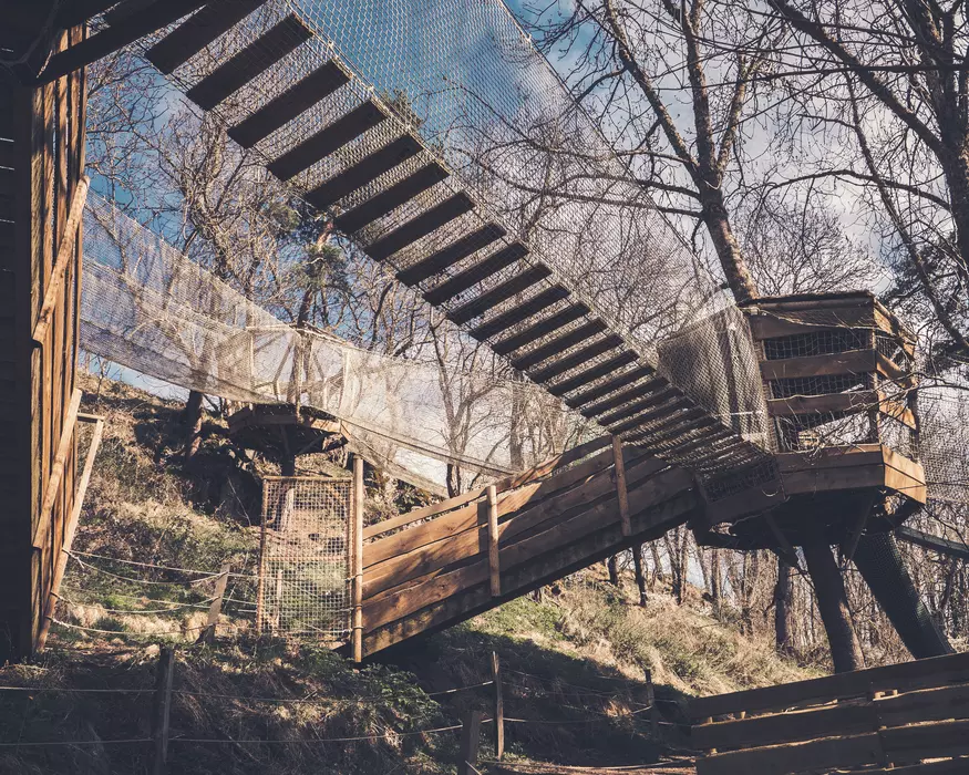 Image de la galerie du parc Canopy en forêt