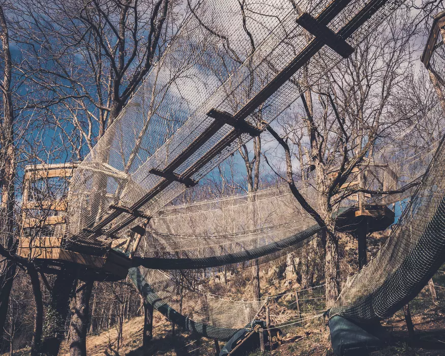 Image de la galerie du parc Canopy en forêt