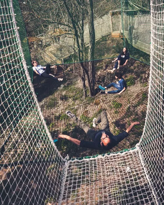 Image de la galerie du parc Canopy en forêt