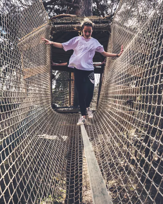 Image de la galerie du parc Canopy en forêt