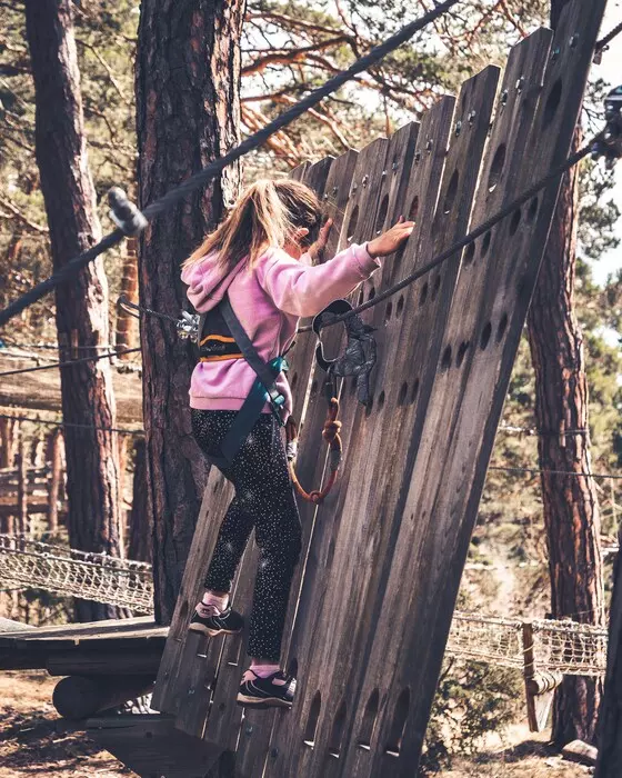Image de la galerie du parc Canopy en forêt