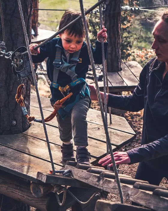 Image de la galerie du parc Canopy en forêt