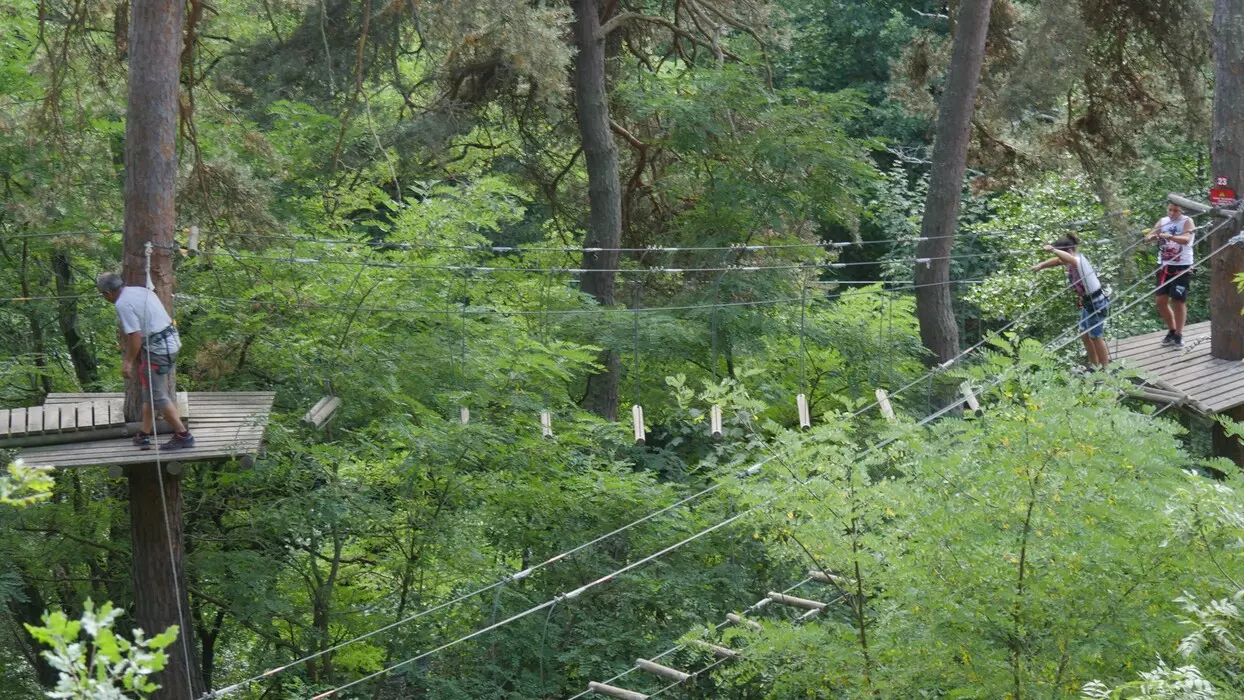 Image de la galerie du parc Canopy en forêt