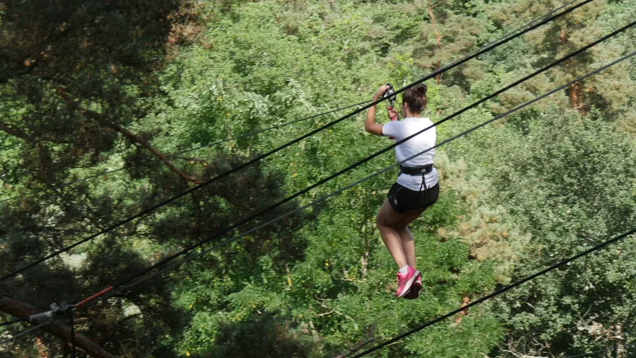 Image de la galerie du parc Canopy en forêt