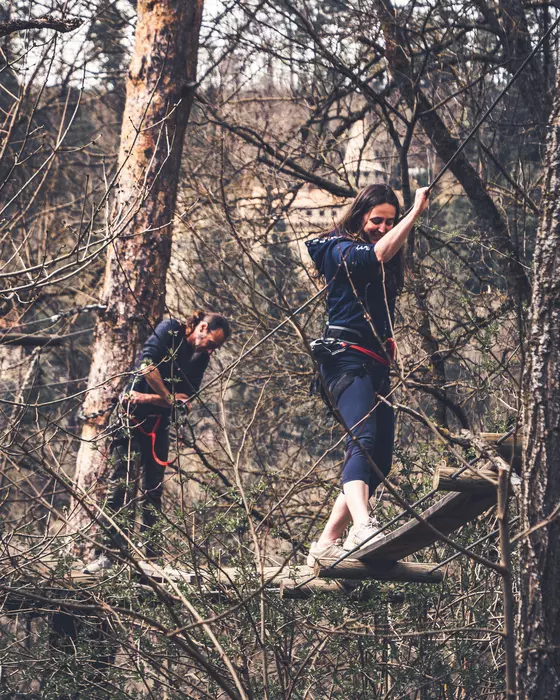 Image de la galerie du parc Canopy en forêt