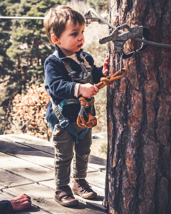 Image de la galerie du parc Canopy en forêt