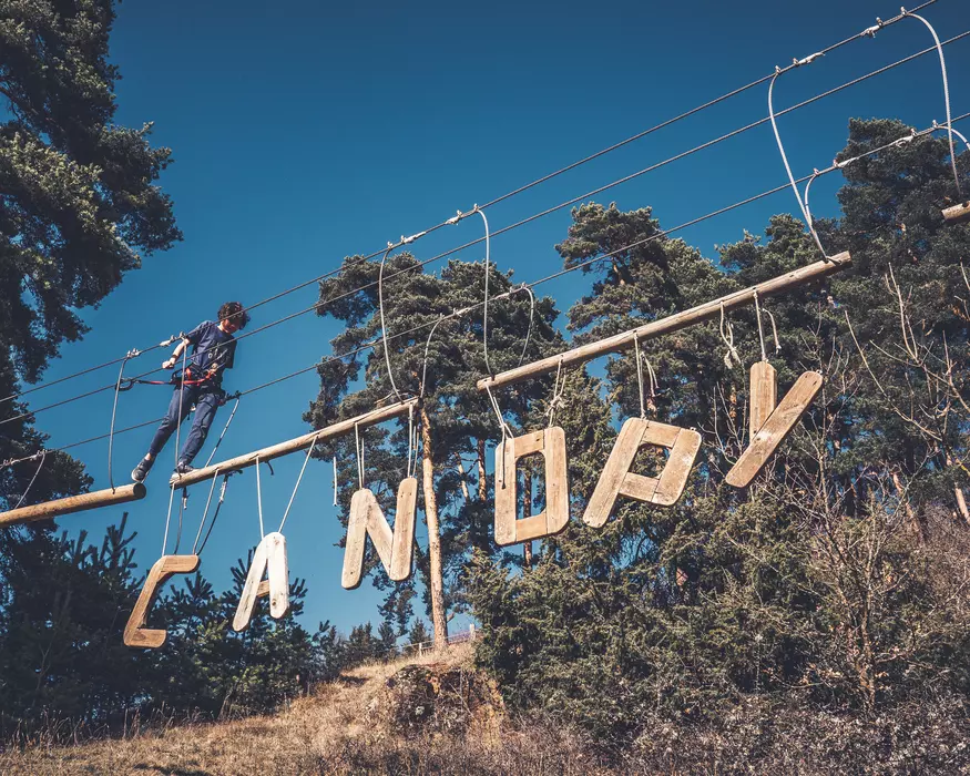 Image de la galerie du parc Canopy en forêt