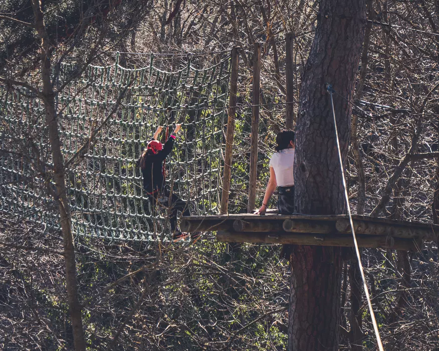 Image de la galerie du parc Canopy en forêt